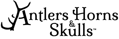 Antlers Horns and Skulls